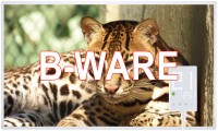 Miweba Heizplatte-Motiv-HF-HP105 Leopard 5052303032323834322D3236 HF-HP105-600Watt-100x60cm-Leopard- - Leistung: 600 Watt Leopard